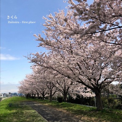 Sakura Front Cover