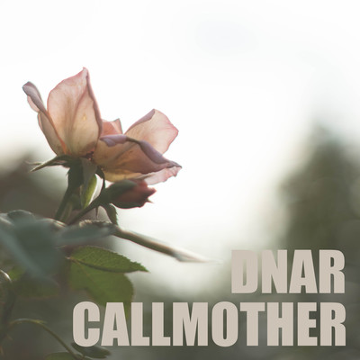 DNAR Front Cover
