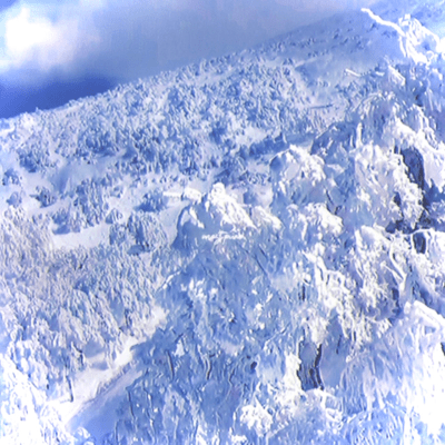 most pureのジャケット写真