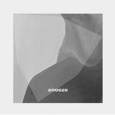 Snoozeのジャケット写真