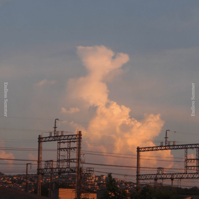 Endless Summer Front Cover