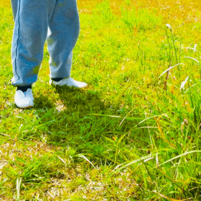 sunrise (short ver.) Front Cover