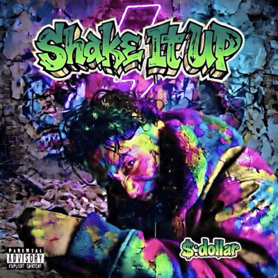 Shake It Up Front Cover