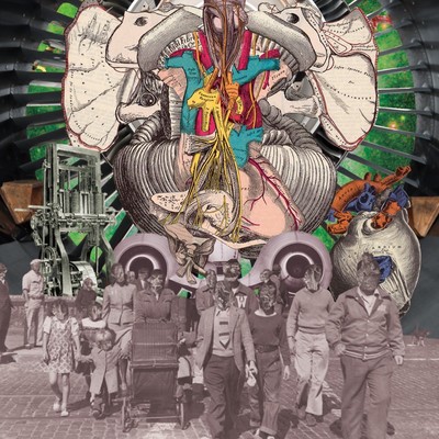 WELLNESS OF LIFE Front Cover