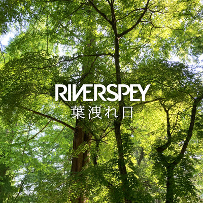 葉洩れ日のジャケット写真