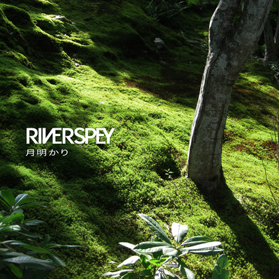 月明かりのジャケット写真