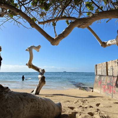 R-BORNのジャケット写真