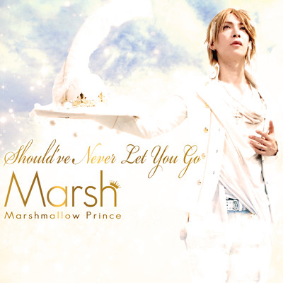 Should've Never Let You Go Front Cover