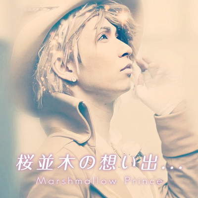 桜並木の想い出...のジャケット写真