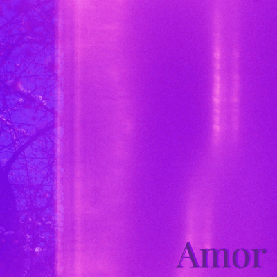Amor Front Cover