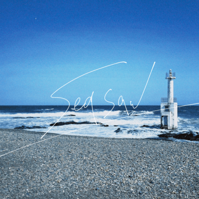 seasaw Front Cover