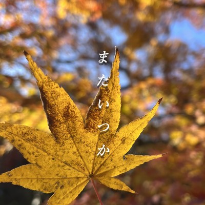 またいつかのジャケット写真