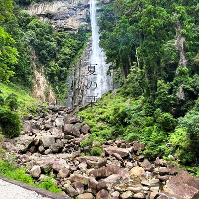 夏の栞のジャケット写真