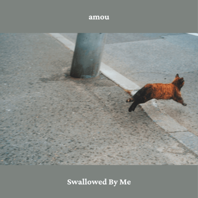 Swallowed By Me Front Cover