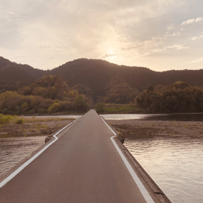 In the sparkle Front Cover