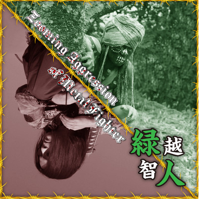 Zooming aggression of metal fighter Front Cover