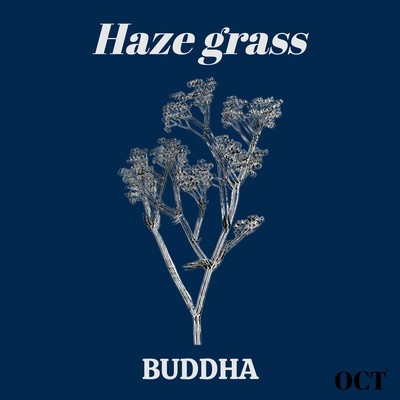 Haze grass Front Cover