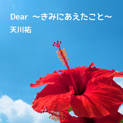 Dear ~that i met you~ Front Cover