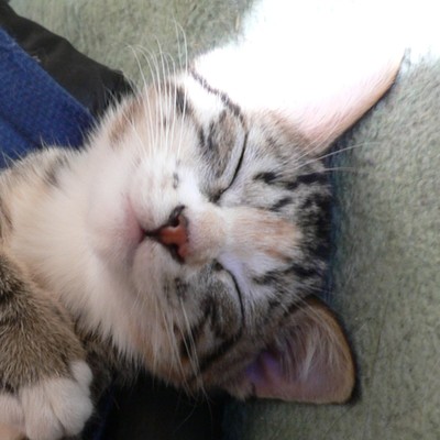 光星 (feat. 鏡音レン)のジャケット写真