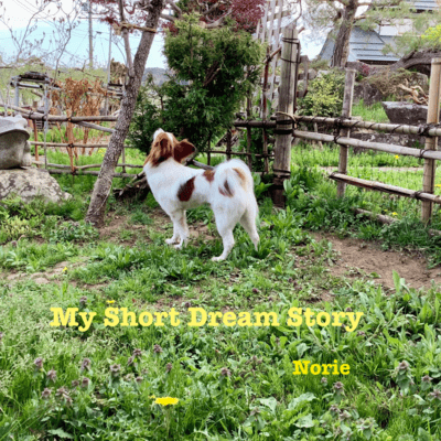 My Short Dream Storyのジャケット写真