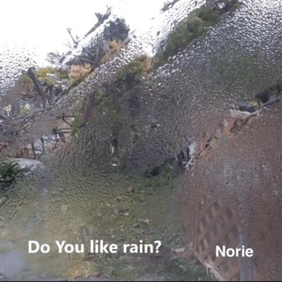 Dou you like rain? Front Cover