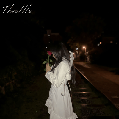 Throttle Front Cover