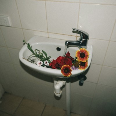 moonlight Front Cover