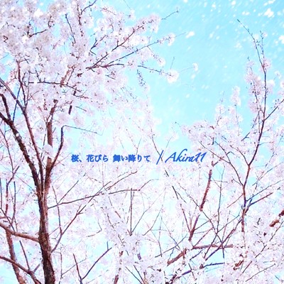 桜、花びら 舞い降りてのジャケット写真