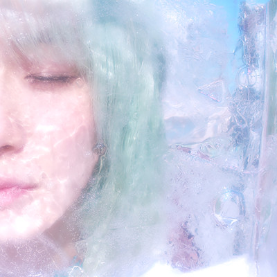 贅沢のジャケット写真