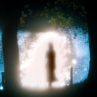 Chinese Lily Front Cover