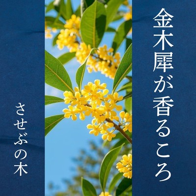 fragrance of sweet olive (feat. Hibiki Koto) Front Cover