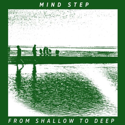 From Shallow to Deep Front Cover