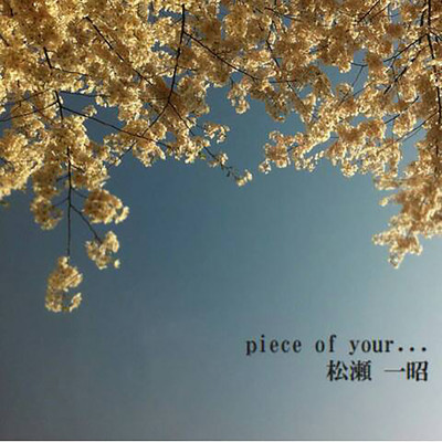 piece of your... Front Cover
