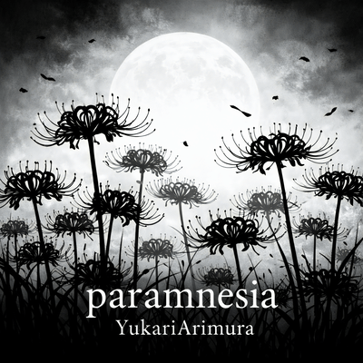 paramnesia Front Cover