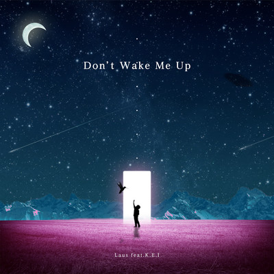 Don't Wake Me Upのジャケット写真