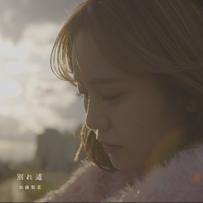 別れ道のジャケット写真