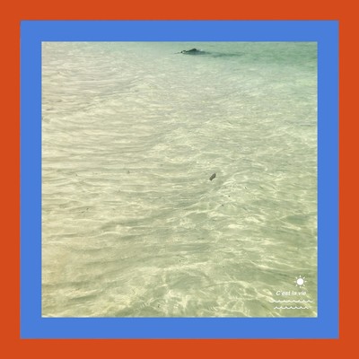 Start Me Over Front Cover