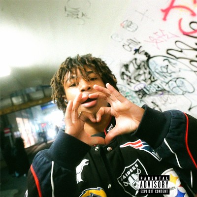 Gose On Front Cover