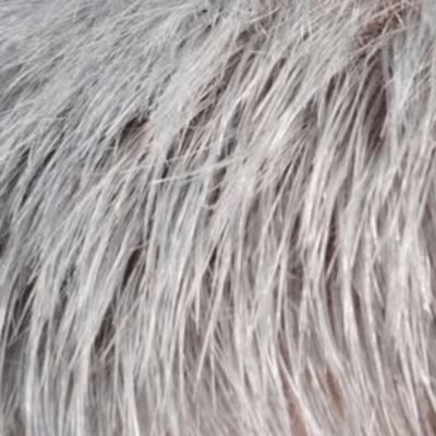 KABUKI GALAXY Front Cover