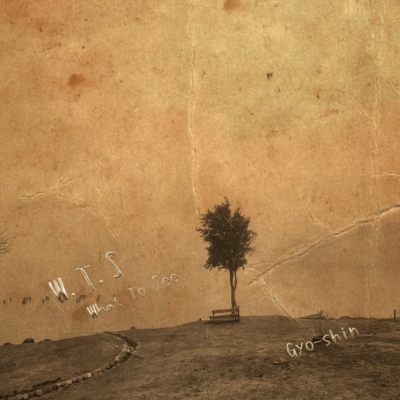 W.T.S (What To See)のジャケット写真