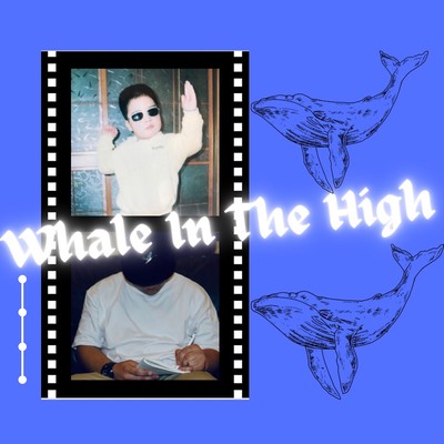 Whale In The High Front Cover