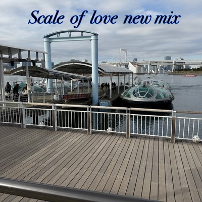 scale of love new mixのジャケット写真