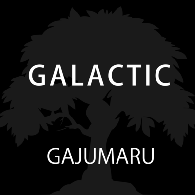 GALACTICのジャケット写真