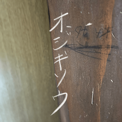 オジギソウのジャケット写真