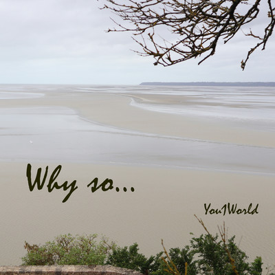 Why so... Front Cover