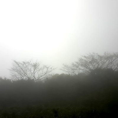 Alley Cat, Call Me Back (a cappella YUUNØ) Front Cover