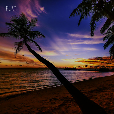 FLAT Front Cover