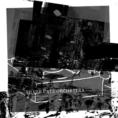 SILVER CATS ORCHESTRAのジャケット写真