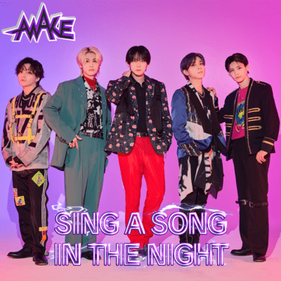SING A SONG IN THE NIGHT Front Cover