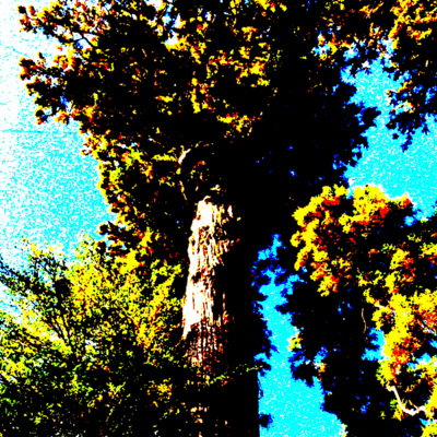 Heavenward Front Cover